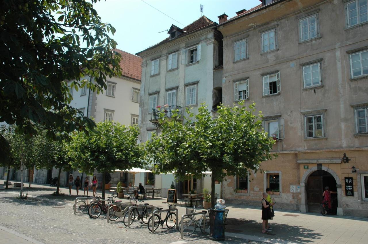 Vitez Apartment I Любляна Екстериор снимка
